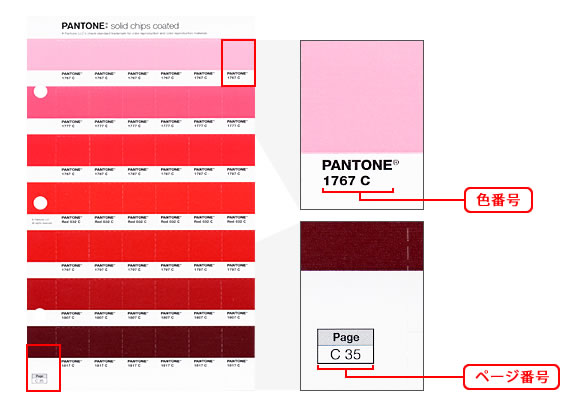 PANTONE PLUS ソリッドチップス／2冊組（1677色） - G&E