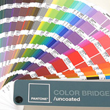 pan-go005-003.jpg