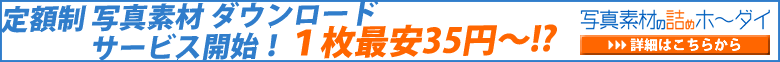 �ʐ^�f�ނ̋l�߃z�`�_�C
