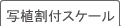 �ʐA���t�X�P�[��