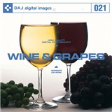 DAJ021 WINE & GRAPES �y���C���ƕ����z