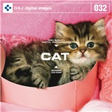 DAJ032 CAT �y���킢���q�L�z