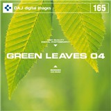 DAJ165 GREEN LEAVES 04 �y�t���b�V���ȐV�΃C���[�W 04�z