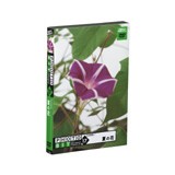 �t�H�g�r�b�gVol.17�@�Ẳԉ摜