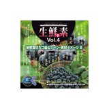 ���N�̑fVol.4 �V�N�H�ރJ�S��&�V�[��B