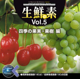 �f�ޏW �}���N ���N�̑f Vol.5 �i�l�G�̉ʕ��E�ʎ� �ҁj�摜
