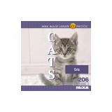 MIXA Vol.206 CATS�q�����A�ʐ^�A�f�ށr