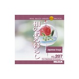 MIXA Vol.207 �a�̂����炵�q�Õ��A�ʐ^�A�f�ށr