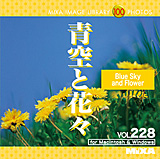 MIXA Vol.228 ��ƉԁX�q���i�A���R�A�ʐ^�A�f�ށr