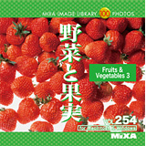 MIXA Vol.254 ��؂Ɖʎ��q�t�[�h�r