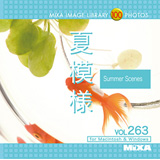 MIXA Vol.263 �Ė͗l�q���i�A�ăC���[�W�r