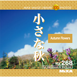 MIXA Vol.268 �����ȏH�q���i�A���{�r