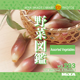 MIXA Vol.293 ��ؐ}��