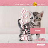 MIXA Vol.295 ���킢���q�L