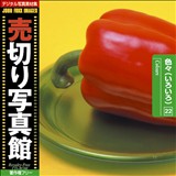 �f�ޏW ���؂�ʐ^�� JFI Vol.022 �F�X�i���낢��j Colours