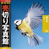 �f�ޏW ���؂�ʐ^�� JFI Vol.029 ������ Birds