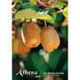 imageDJ Athena Vol.18 �ʕ��̌i�F
