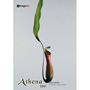 imageDJ Athena Vol.29 �Ԏp