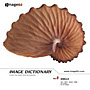 imageDJ Image Dictionary Vol.8 �L 