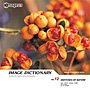 �ʐ^�f�� IMAGE DICTIONARY Vol.12 ���R
