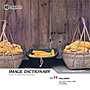 �ʐ^�f�� IMAGE DICTIONARY Vol.14 ��