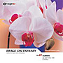 imageDJ Image Dictionary Vol.22 �� 