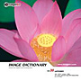 �ʐ^�f�� IMAGE DICTIONARY Vol.30 �@