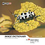 imageDJ Image Dictionary Vol.38 ���� 