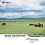 imageDJ Image Dictionary Vol.48 �呐�� 