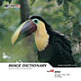 imageDJ Image Dictionary Vol.49 �� 