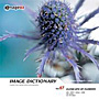 imageDJ Image Dictionary Vol.67 �Ԃ̐ڎ� 