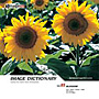 imageDJ Image Dictionary Vol.85 �� (2) 