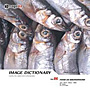 imageDJ Image Dictionary Vol.86 �H���w�i 