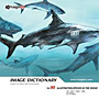 imageDJ Image Dictionary Vol.90 �C�֘A (�C���X�g) 