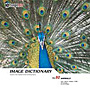 �ʐ^�f�� IMAGE DICTIONARY Vol.92 ����