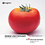 imageDJ Image Dictionary Vol.93 �ʕ��Ɩ�� 