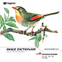 imageDJ Image Dictionary Vol.96 �� (���ʉ�) 
