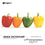 imageDJ Image Dictionary Vol.117 �ʕ��Ɩ��(2) 