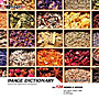 imageDJ Image Dictionary Vol.124 �n�[�u�ƃX�p�C�X 