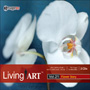 imageDJ Living Art Vol.21 �ԕ���