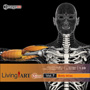 imageDJ Living Art Special Vol.7 �l�̐}��