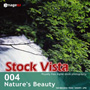 imageDJ Stock Vista Vol.4 ���R�̔�