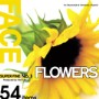 SUPER FINE No.1 FLOWERS