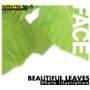 SUPER FINE No.5 BEAUTIFUL LEAVES