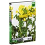 �t�H�g�r�b�gVol.16�@�t�̉�