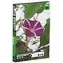 �t�H�g�r�b�gVol.17�@�Ẳ�