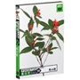 �t�H�g�r�b�gVol.19�@�~�̉�