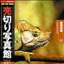 ���؂�ʐ^�� JFI Vol.027 �����}�� Animal Pictorial