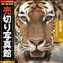 ���؂�ʐ^�� JFI Vol.028 �������� The Animal Kingdom