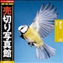 ���؂�ʐ^�� JFI Vol.029 ������ Birds